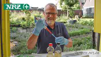 Hamminkeln: Labormobil kommt auf den Rathausplatz - NRZ News