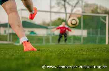 Fußball-Bezirksliga - Fünf Tore in den ersten acht Minuten - Leonberger Kreiszeitung