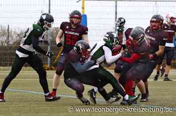 American Football - Alligators läuft die Zeit davon - Leonberger Kreiszeitung