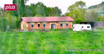 Heppenheim: Ziegenzuchtgelände steht kurz vor der Räumung - Echo Online