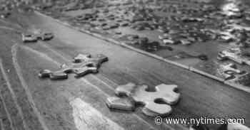 What’s a Six-Letter Word for Fanatical Devotion to Solving Things?