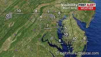 Maryland Weather: Foggy Morning