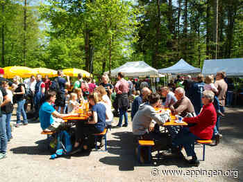 ▷ Am 1. Mai auf zum Waldfest der Stadtkapelle! - Eppingen.org