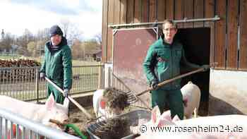 „Langweilig wird´s nicht“: Jannik Nowanskowski über sein Freiwilliges Ökologisches Jahr in Attl