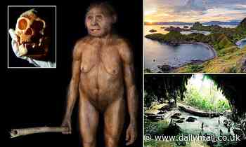 British anthropologist believes there's evidence another 'Homo' species could still be alive