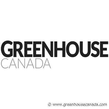 Geothermal power facility makes progress in Saskatchewan - Greenhouse Canada