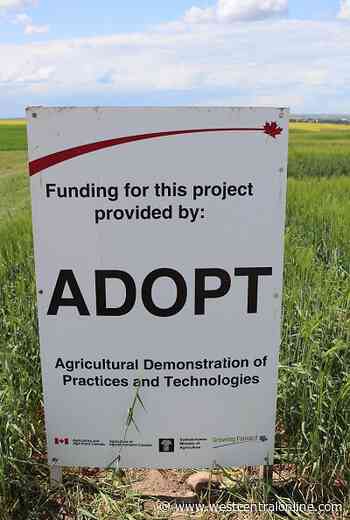 Saskatchewan recently announces ADOPT funding - WestCentralOnline.com
