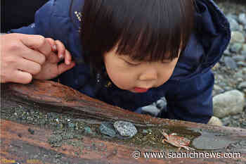 Love exploring nature? Join the Greater Victoria City Nature Challenge today! - Saanich News