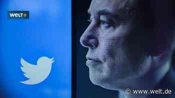 Für Twitter riskiert Musk sogar Tesla – das sollten Anleger jetzt wissen
