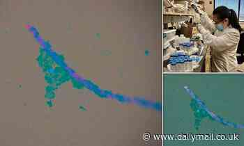 Disease-causing parasites can hitch a ride on microplastics, study says