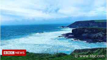 Warning after dog dies in Cornwall cliff fall - BBC