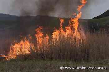 Foligno, fuoco doloso brucia il canneto della Palude di Colfiorito - Il quotidiano che racconta l'Umbria - Umbria Cronaca