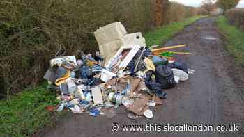 Cost of clearing fly-tips in Harlow and Epping Forest