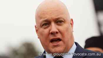 NZ opposition leader popular but battling - Gloucester Advocate