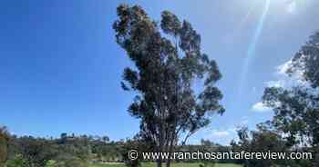 RSF Association hosts arboretum grand opening, trail walk on April 30 - Rancho Santa Fe Review