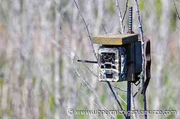 Learn the ins and outs of trail cam technology at the DNR trail cam forum - WLUC