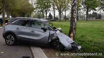 Man (70) overlijdt na botsing met boom in Venhorst - Omroep Brabant