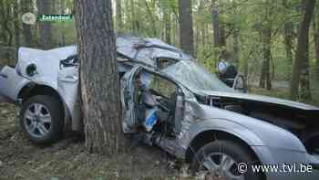 23-jarige man kritiek na klap tegen boom in Zutendaal - TV Limburg