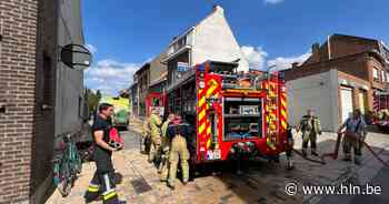 Bloembakken aan woning vatten vuur | Boom | hln.be - Het Laatste Nieuws