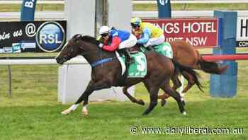 Brett Robb wins Nyngan Cup but just misses Bathurst Soldier's Saddle - Daily Liberal