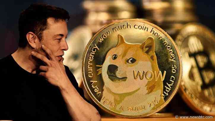 Dogecoin (DOGE) Trading Volume Plunges – Here’s Why