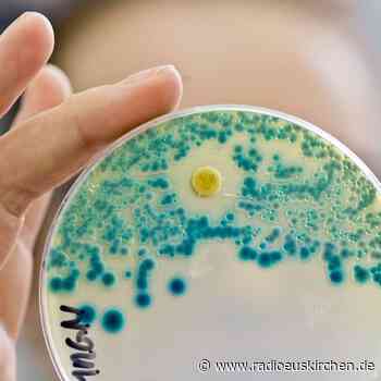 Neues tiermedizinisches Zentrum erforscht resistente Keime - radioeuskirchen.de