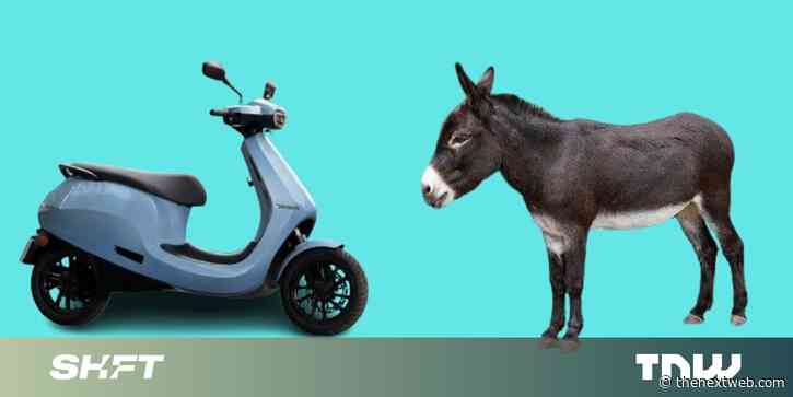 Pray for the man who paraded an Ola scooter through town with a donkey