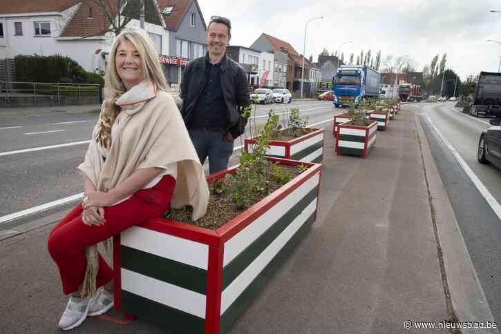 Kleurrijke bloembakken fleuren N31 op