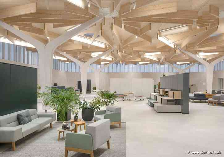 Möbel unter künstlichen Baumkronen
 - Holzbau-Showroom von Ludloff Ludloff in Bad Schönborn