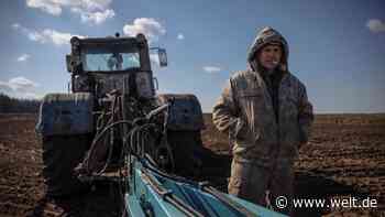Die Ukraine säht mitten im Krieg aus – doch das Risiko der Hungersnot bleibt