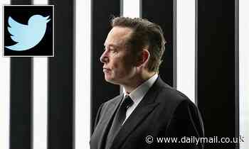 Why has Elon Musk bought Twitter and what changes could he make to the social media giant