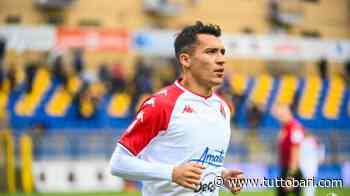 Giudice: multe per Bari, Palermo e Polito. Un turno di squalifica a Botta - BARI CALCIO