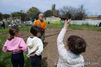 Bari, parco Gargasole porta la natura in città: “Vogliamo mantenerlo selvatico” - Borderline24.com