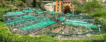 Lecco. Sono 160 gli orti: se ne cercano altri - La Provincia di Lecco