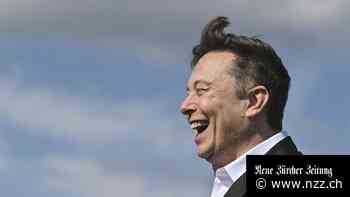 «Elon Musk hat die Meinungsfreiheit im Internet falsch verstanden»