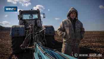Die Ukraine sät mitten im Krieg aus – doch das Risiko der Hungersnot bleibt