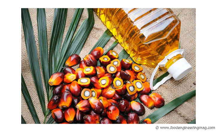 Indonesia's palm oil export ban to severely disrupt FMCG companies' sales - Food Engineering Magazine