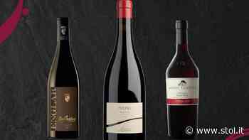 24. Blauburgundertage Südtirol: Top-Klassierungen der Südtiroler Weine - STOL - Nachrichten für Südtirol