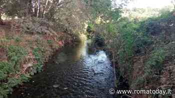 Il fiume sacro di Roma è pieno di batteri fecali