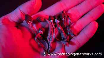 Exploring How VR Could Be Used in Psychedelic-Assisted Psychotherapy - Technology Networks