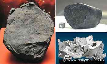 Building blocks of life on Earth DID come from meteorites, study claims