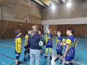 As Merate Volley, buone prove delle squadre giovanili gialloblù FOTO - Prima Merate