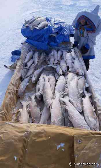 A 'good afternoon' in Igloolik - Nunatsiaq News