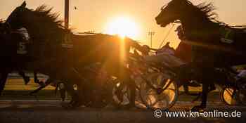 Taube kickt Pferd auf Trabrennbahn aus dem Rennen