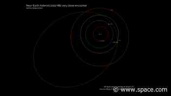 Watch a bus-sized asteroid safely zoom past Earth within the moon's orbit