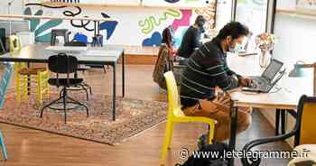 Lorient - À Lorient, grâce à sa nouvelle offre étudiante, La Colloc grossit ses rangs - Le Télégramme