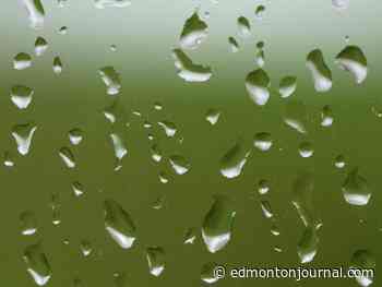 Edmonton weather: Partly cloudy today with 5-10 mm of rain tonight