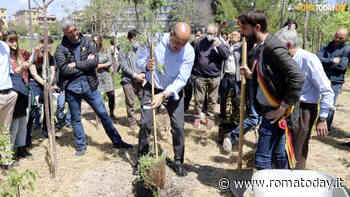 VIDEO | Piantati altri 250 nuovi alberi nel bosco intensivo di Roma