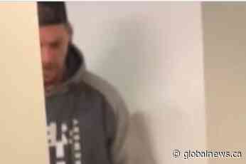 Kingston police seek possible witness to concert assault