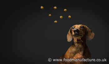 Inspired Pet Nutrition invests £6M in pet food line expansion